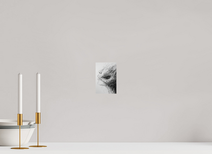 10 x 15 cm, Photo Print On Fuji Crystal DP II A face of roots