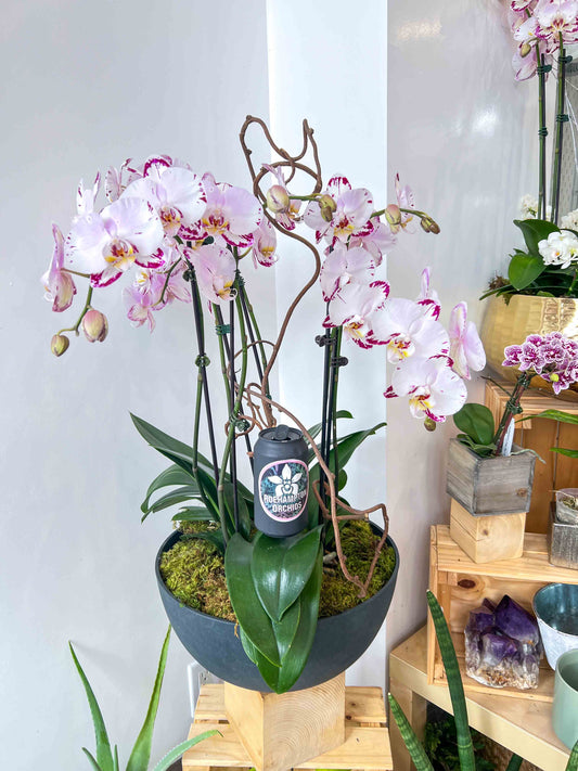 Onyx Stone Arrangement (4 or 5)