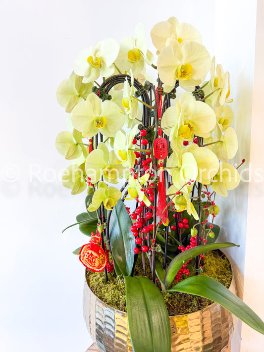 Golden Lucky Arrangement