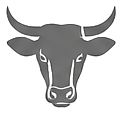Bull head